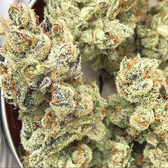 Meet your Posher, Chris - Picture 2 of 3